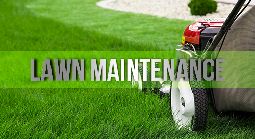Lawn Maintenance